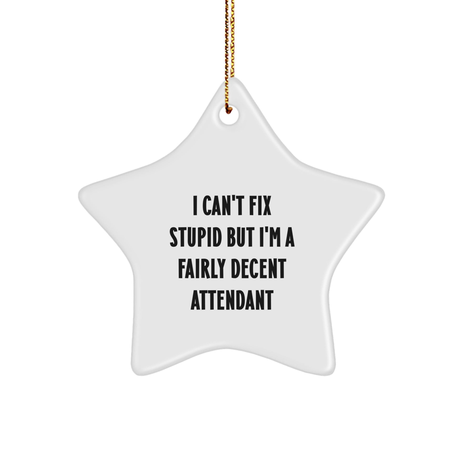 Funny Attendant Gifts from Men to Friends - I Can't Fix Stupid But I'm A Fairly Decent Attendant Star Ornament, Christmas Unique Decorations for Attendant, Attendant Star Ornament - Image 1