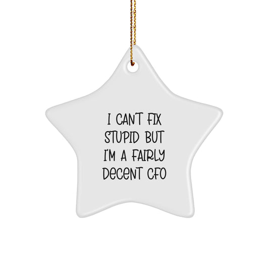 CFO Gifts from Friends - 'I Can't Fix Stupid But I'm A Fairly Decent CFO' Star Ornament for Christmas - Image 1