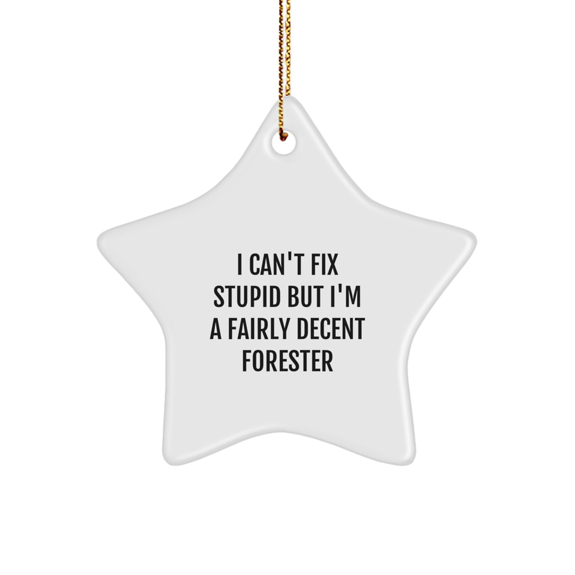 Funny Forester Gifts for Men - I Can't Fix Stupid but I'm a Decent Forester, Star Ornament, Christmas Unique Gifts from Friends - Image 1