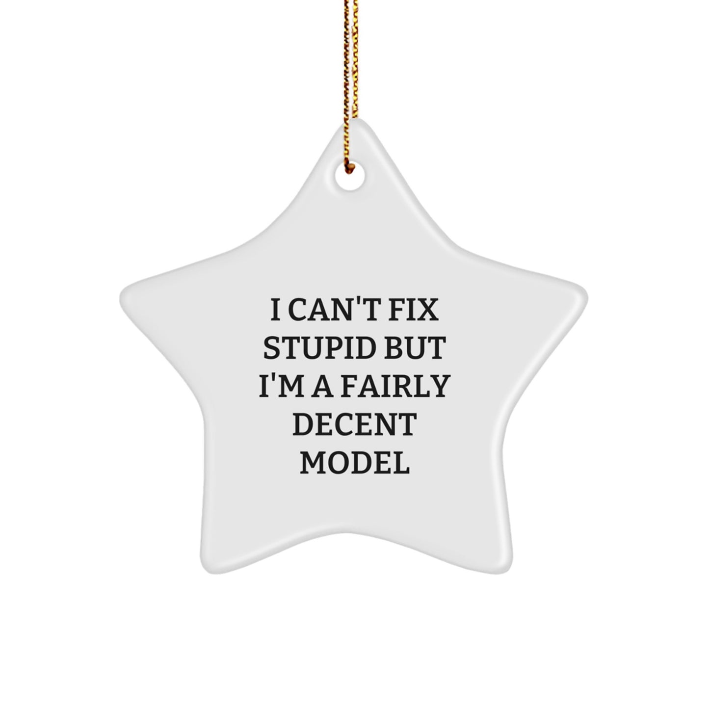 Funny Model Star Ornament Gifts from Friends to Family for Christmas - I 'Can't Fix Stupid' Star Decoration - Image 1