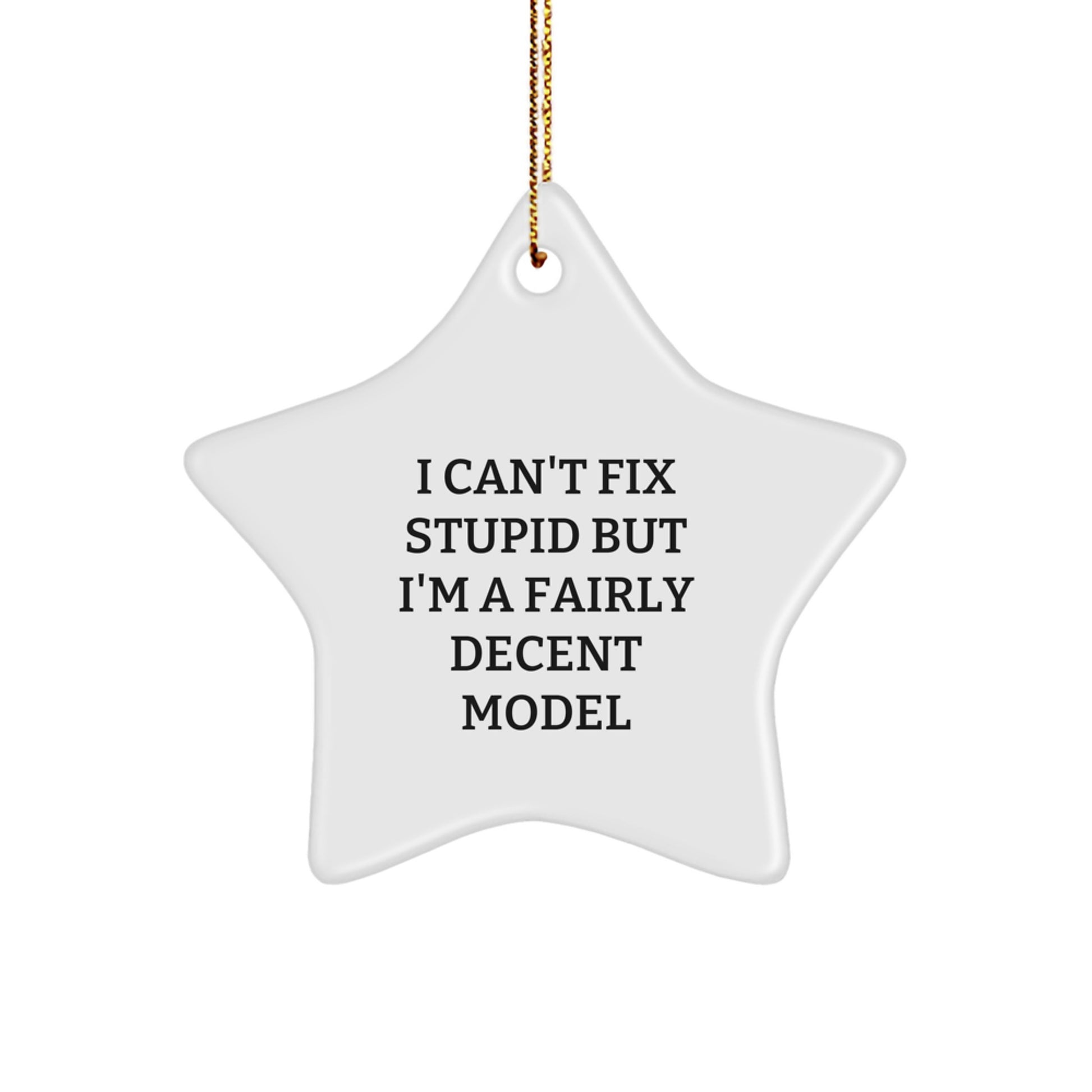 Funny Model Star Ornament Gifts from Friends to Family for Christmas - I 'Can't Fix Stupid' Star Decoration - Image 1