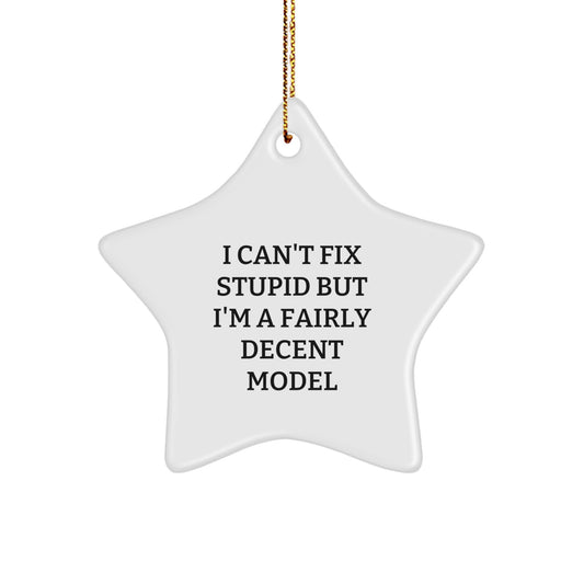 Funny Model Star Ornament Gifts from Friends to Family for Christmas - I 'Can't Fix Stupid' Star Decoration - Image 1