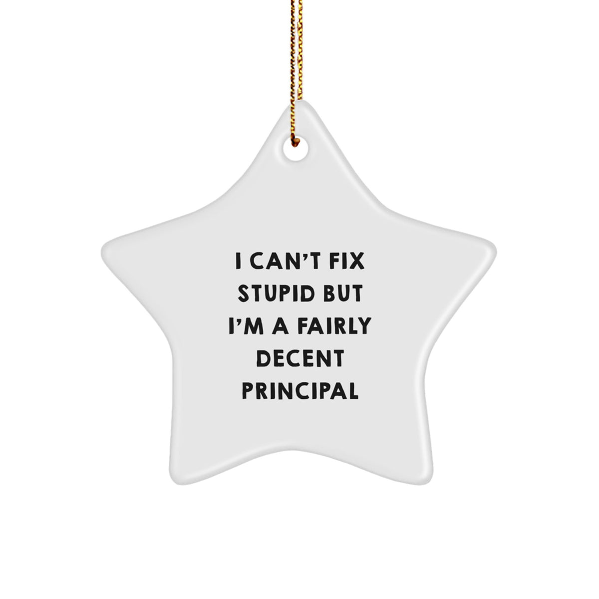 Christmas Unique Gift Principal Star Ornament for Teens I Can't Fix Stupid - Image 1