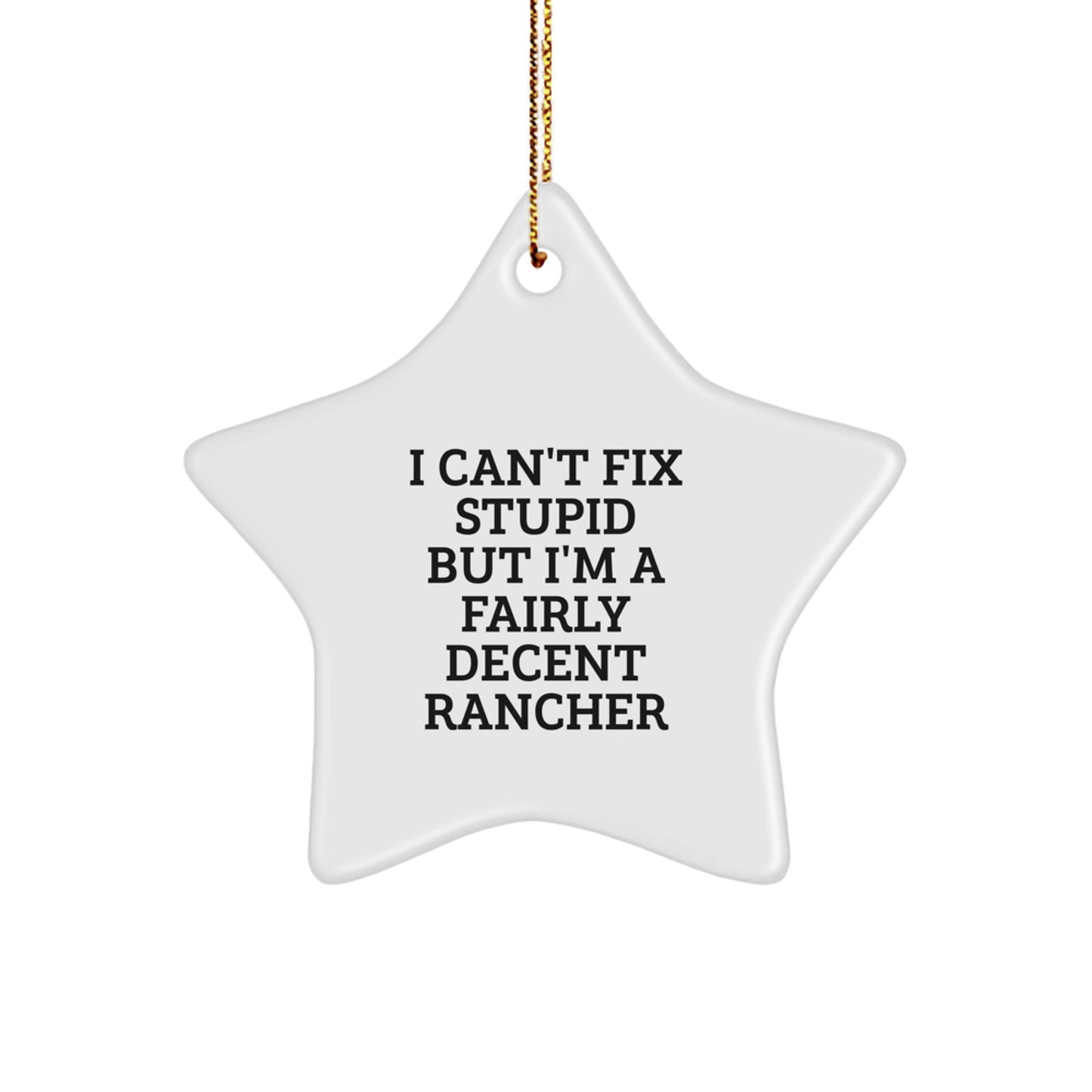 Funny Rancher Gifts for Men, Christmas Unique Star Ornament with I Can't Fix Stupid But I'm A Fairly Decent Rancher Quote, Gifts from Family - Image 1
