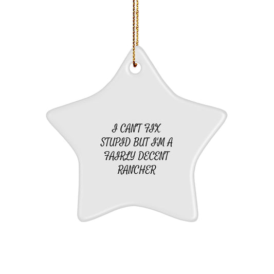 Funny Rancher Gifts for Him - 'I Can't Fix Stupid' Star Ornament, Handcrafted from Durable MDF, Christmas Unique Gifts for Men or Women - Image 1