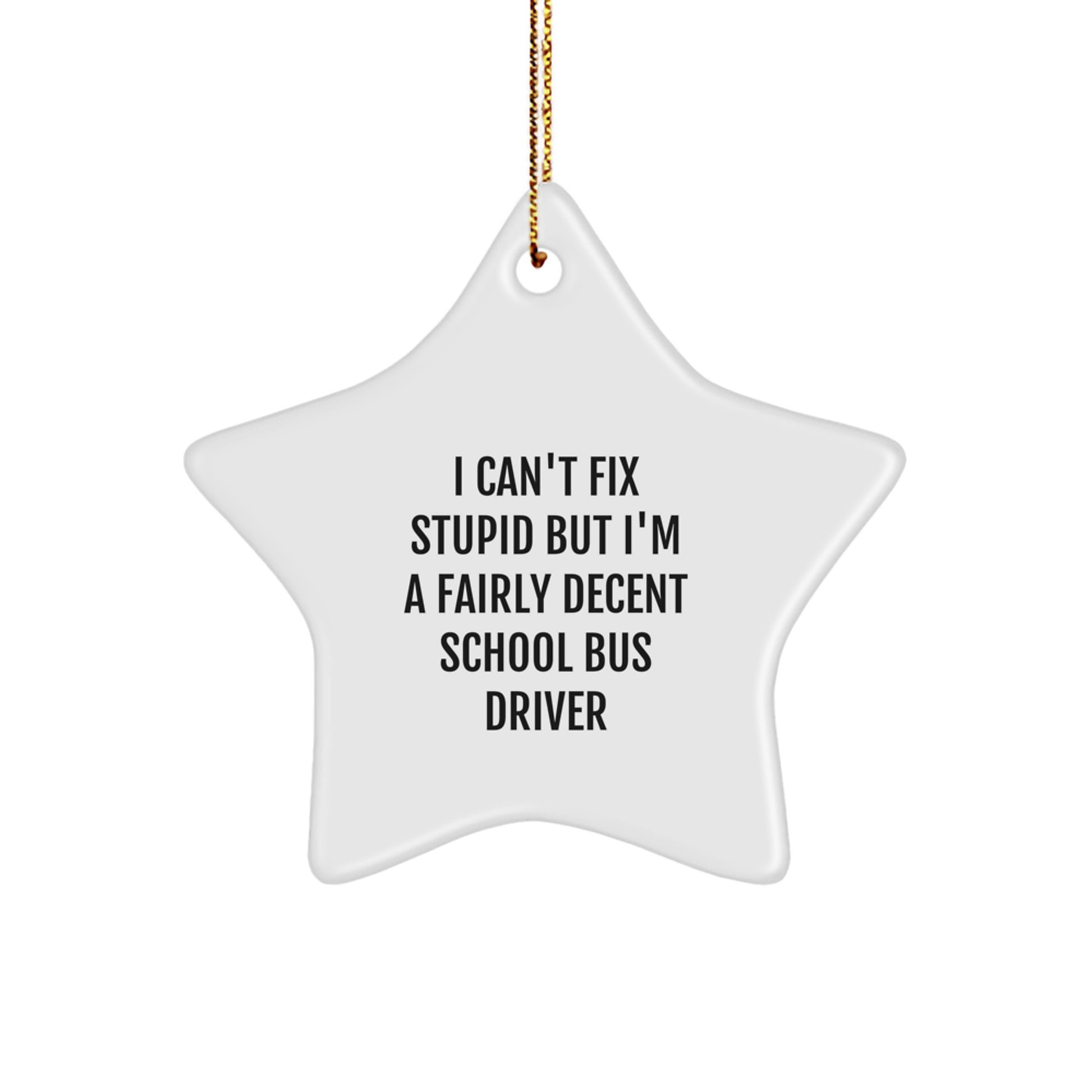Funny School Bus Driver Gifts - I Can't Fix Stupid But I'm A Fairly Decent Star Ornament for Christmas, Gifts from Men to School Bus Driver - Image 1