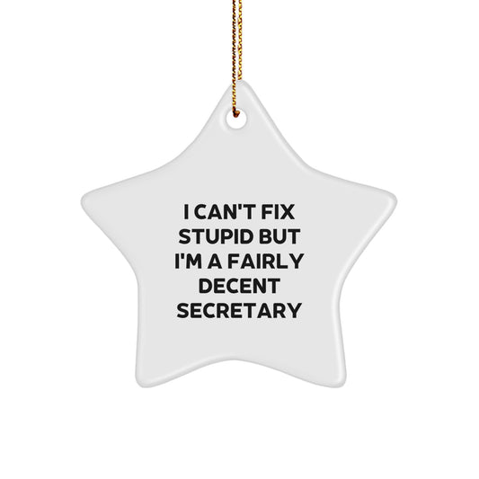 Funny Secretary Gifts, I Can't Fix Stupid But I'm A Fairly Decent Star Ornament for Christmas, Gifts from Friends to Family - Image 1