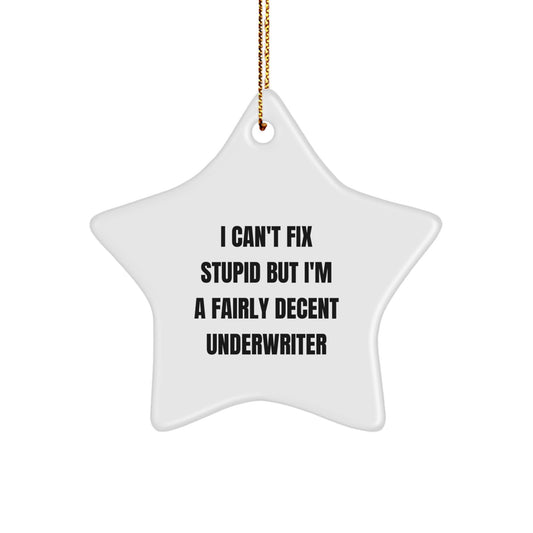 Funny Underwriter Gifts from Friends for Christmas - Star Ornament with 'I Can't Fix Stupid But I'm A Fairly Decent Underwriter' Quote - Image 1