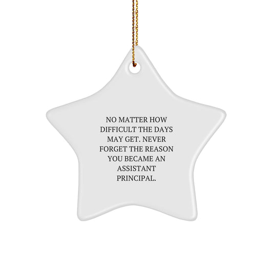 Inspirational Assistant Principal Gifts, Funny Quote Star Ornament, Gifts from Family to Christmas Tree, for Men, Women, Coworkers, Friends, Unique Assistant Principal Christmas Unique Gift Ideas - Image 1