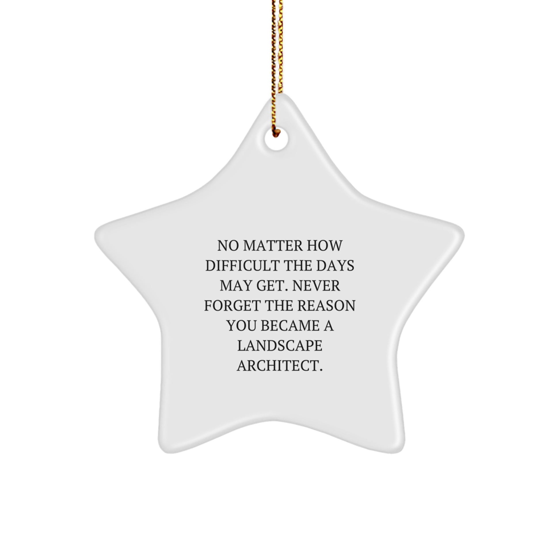 Funny Landscape Architect Star Ornament Gifts from Friends and Family for Christmas Inspirational Quote Decorations - Image 1