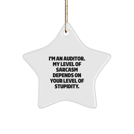 Auditor Gifts, Star Ornament, Funny Quote, Christmas Unique Gifts from Friends, Gifts for Auditor - Image 1