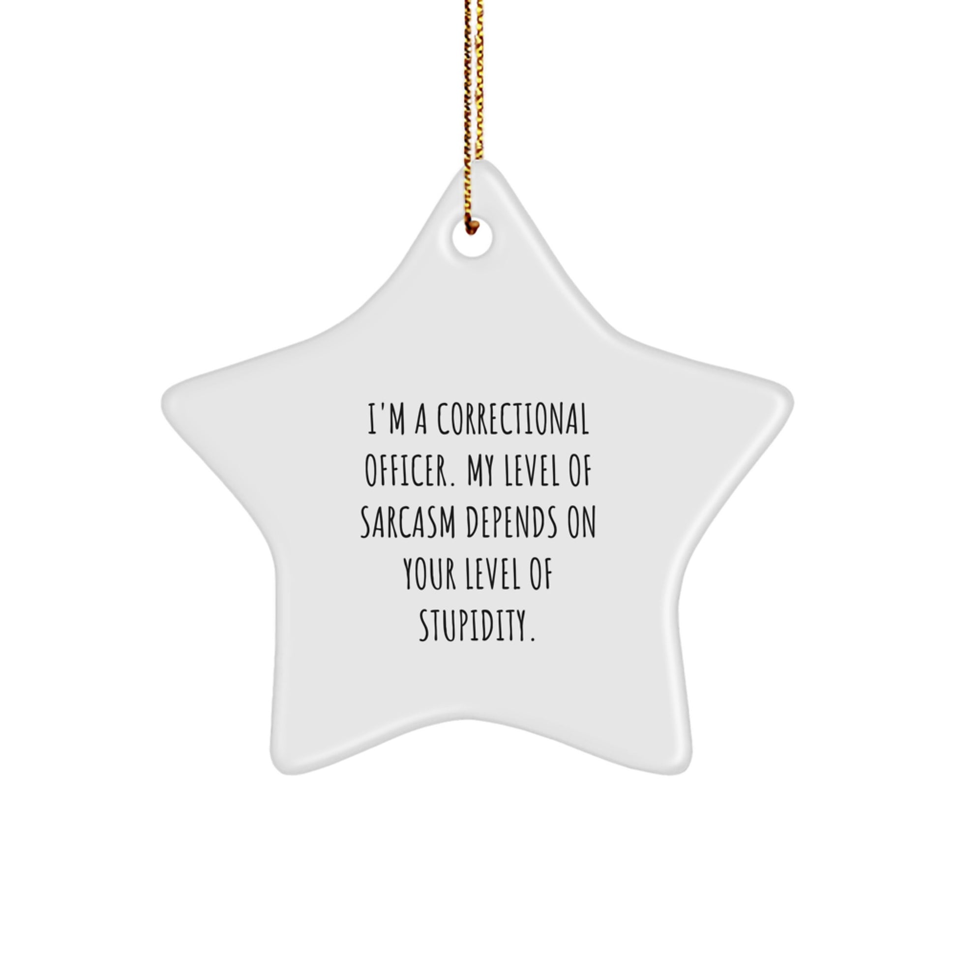 Funny Correctional Officer Gifts, 'I'm A Correctional Officer. My Level Of Sarcasm Depends On Your Level Of Stupidity' Star Ornament for Correctional Officers, Christmas Unique Gifts from Friends - Image 1