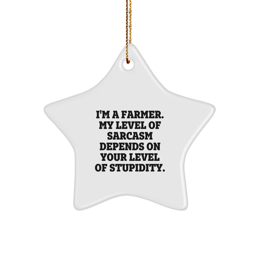Funny Farmer Gifts from Men to Men, Christmas Unique Star Ornaments with Sarcasm, I'm A Farmer. - Image 1