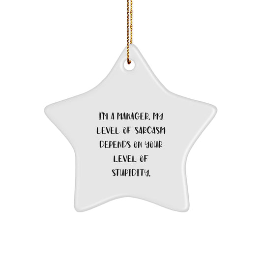 Funny Manager Star Ornament, Gifts from Coworkers for Manager, Christmas Unique Gifts, Sarcasm Gift Star - Image 1