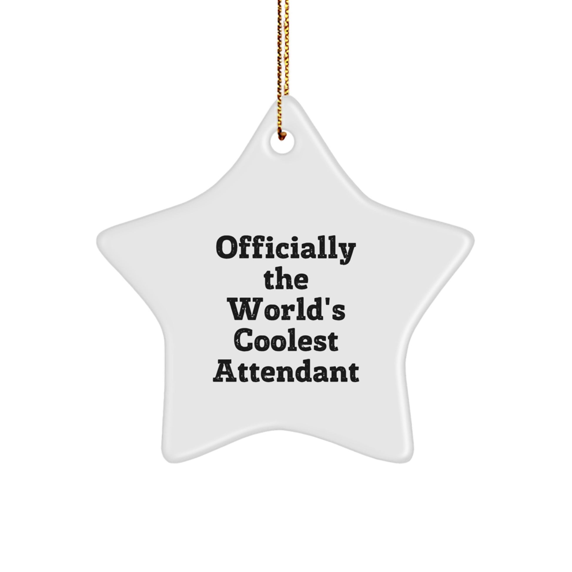 Funny Attendant Gifts from Friends for Attendants, Officially the World's Coolest Star Ornament for Christmas - Image 1