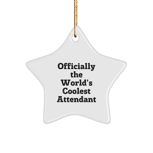 Funny Attendant Gifts from Friends for Attendants, Officially the World's Coolest Star Ornament for Christmas - Image 1