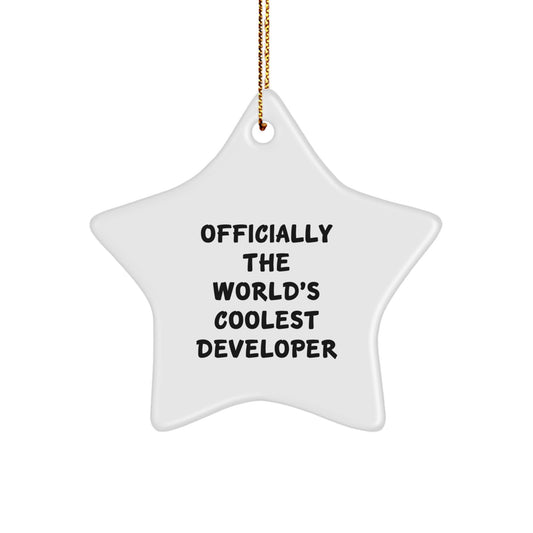 Developer Star Ornament, Gifts from Friends for Officially The World's Coolest Developer, Christmas Unique Gifts - Image 1