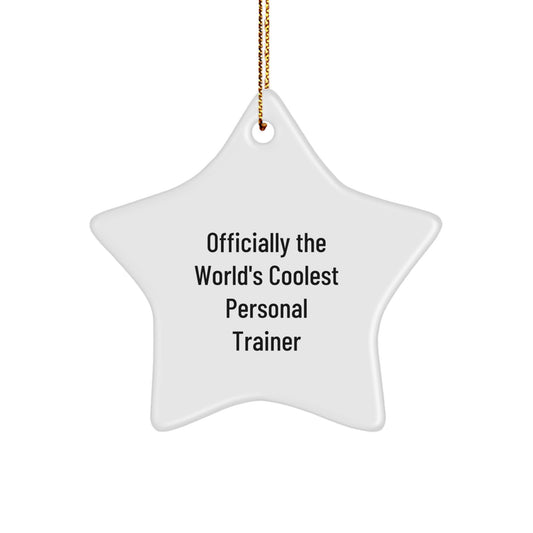 Officially The World's Coolest Personal Trainer Funny Star Ornament Gifts from Friends to Personal Trainers this Christmas - Image 1