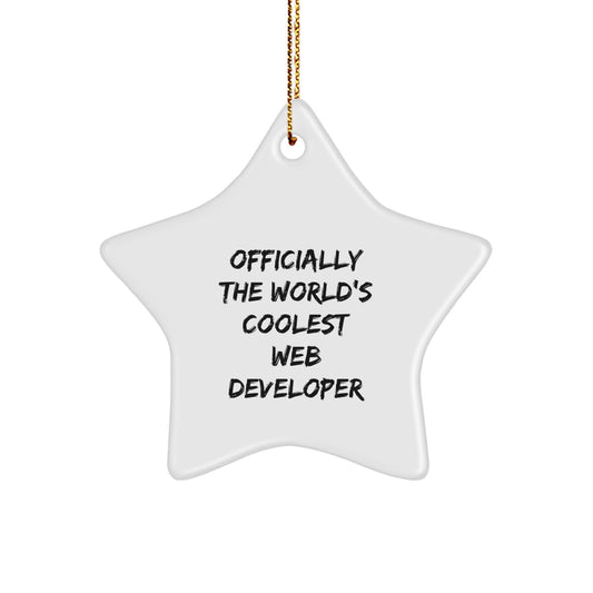 Funny Web Developer Star Ornament Gifts from Men to Web Developer Friends for Christmas Unique Decorations - Image 1