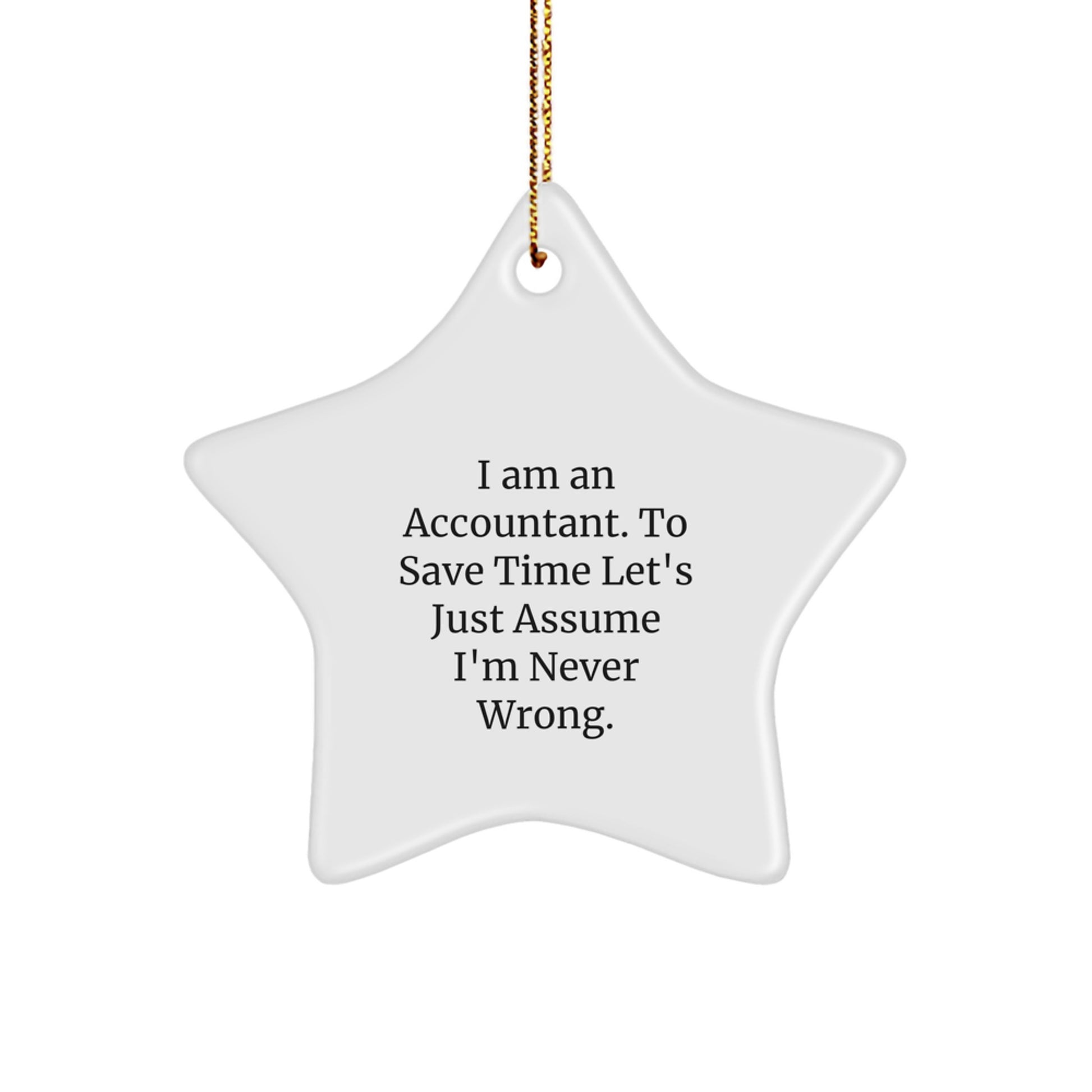 Funny Quote Star Ornament Gifts from Men to Accountant Colleagues at Christmas - Image 1