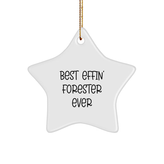 Funny Forester Gifts for Him, Best Effin' Forester Ever Star Ornament, Gifts from Family, Christmas Unique Gifts - Image 1
