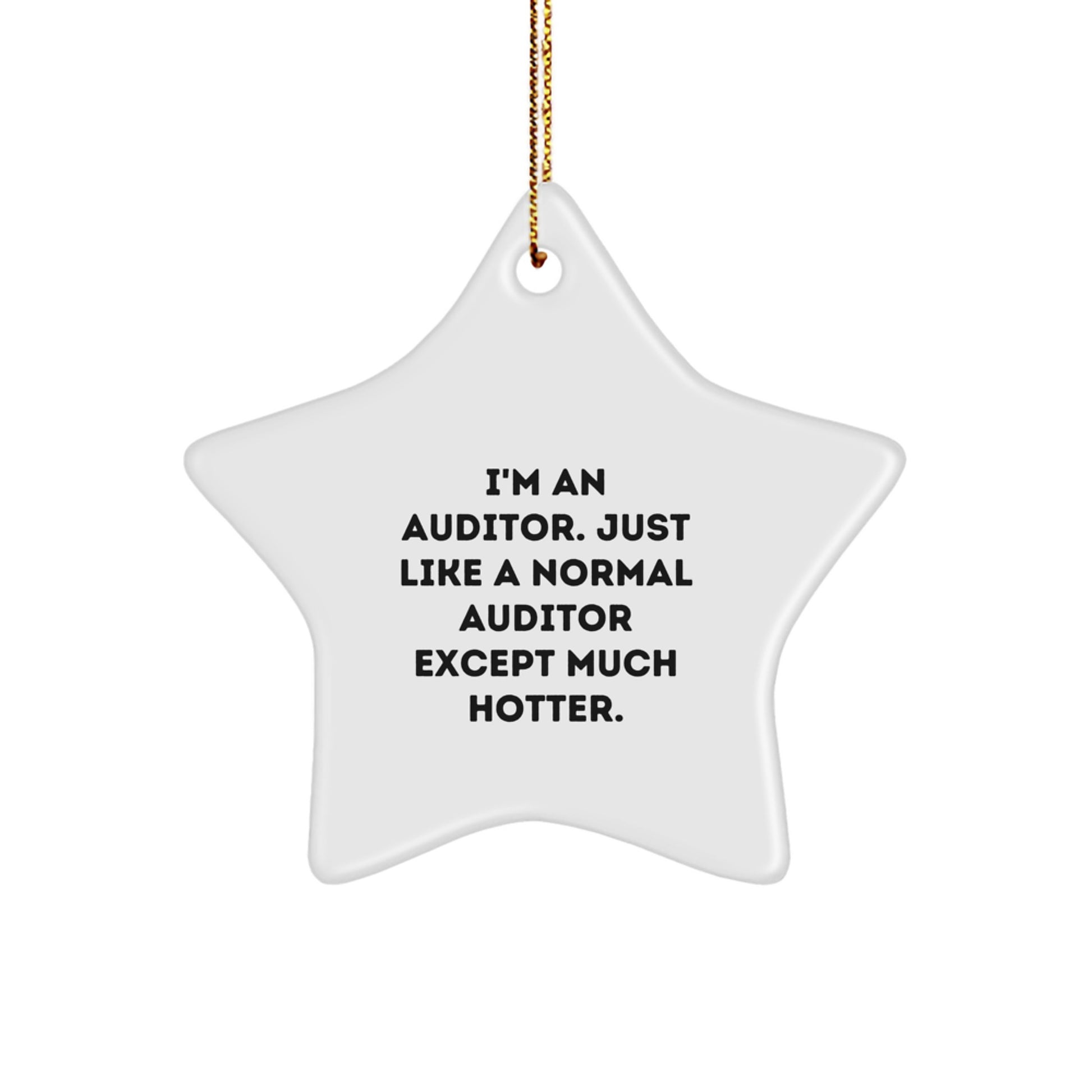 Funny Auditor Gifts Christmas Star Ornament for Men Women Coworkers Friends Family from Auditor - Image 1