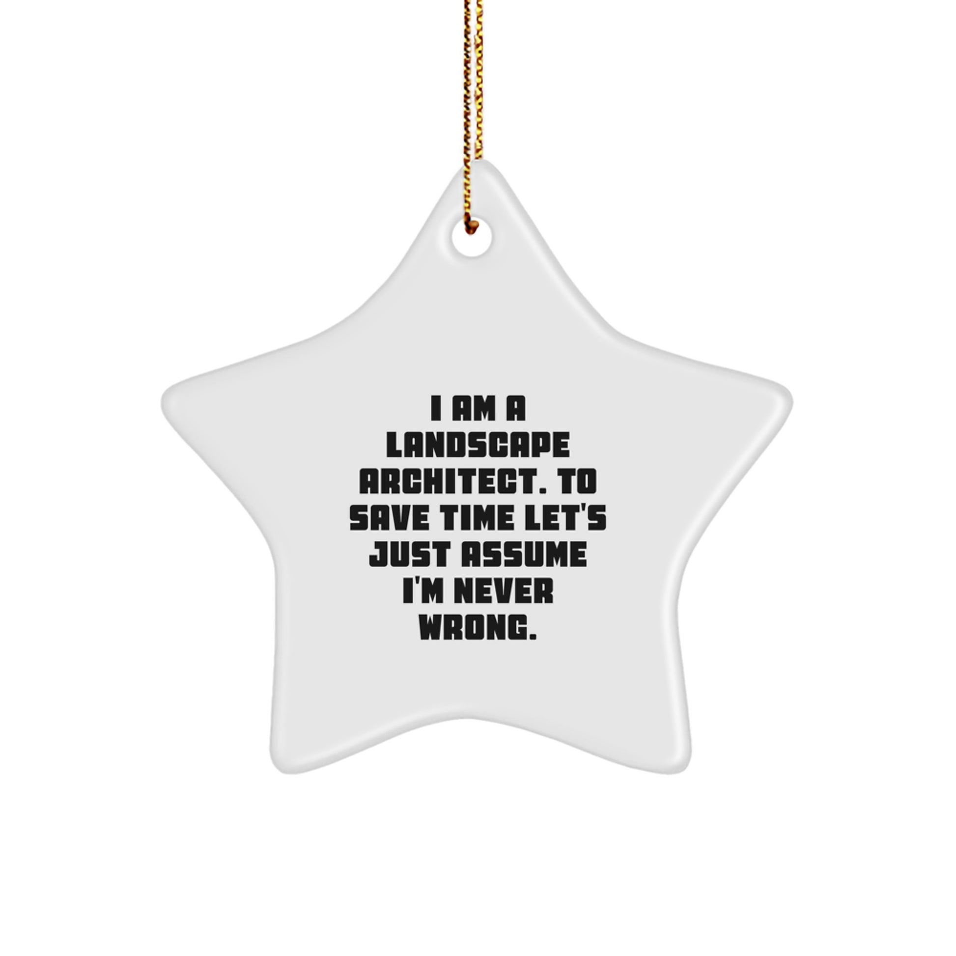 Funny Landscape Architect Star Ornament Gifts from Friends for Christmas - Never Wrong Star Shaped Decoration - Image 1