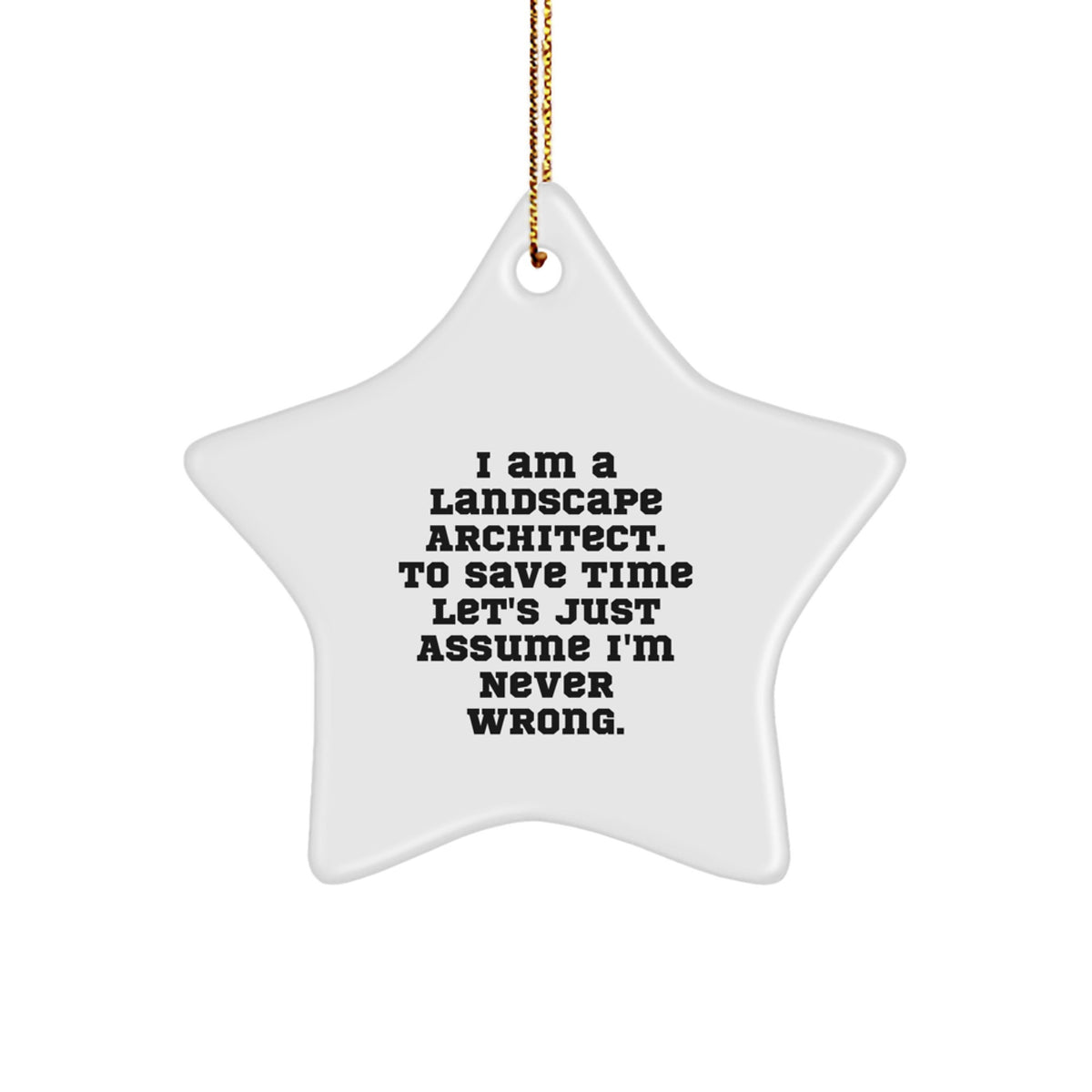 Landscape Architect Star Christmas Ornament Gift for Him - Never Wrong - Image 1