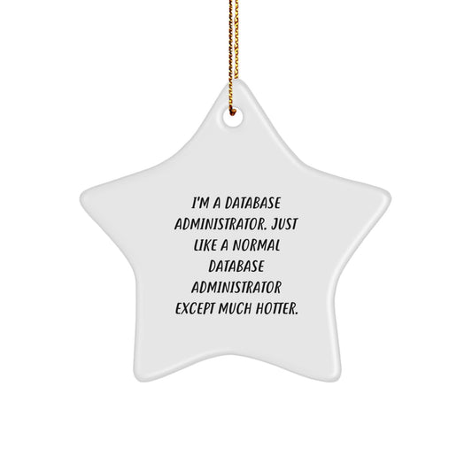 Funny Gifts from Men to Database Administrator Friends and Coworkers, Unique Christmas Star Ornament for Database Administrator Home Decor, Inspirational Quote for Anyone - Image 1
