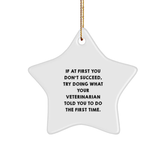 Funny Veterinarian Gifts for Christmas - Star Ornament with Humorous Quote, Perfect Vet Office Decor or Veterinarian Appreciation, Gifts from Friends and Family - Image 1