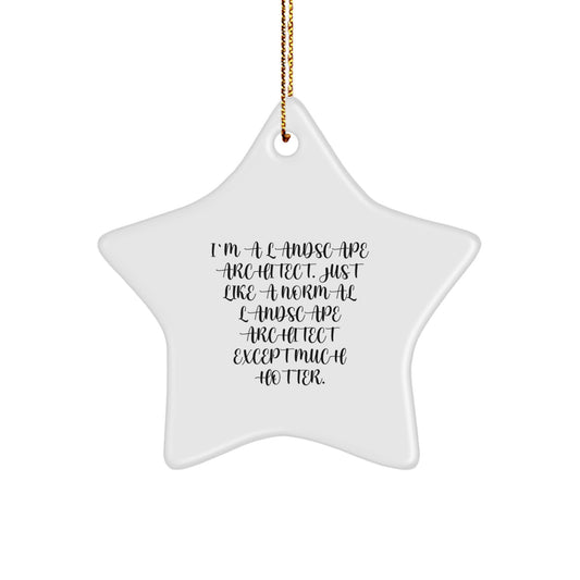Funny Landscape Architect Gifts for Christmas - Star Ornament with Gifts from Family - Unique Star Shaped Decorations by I'm A Landscape Architect Except Much Hotter - Image 1