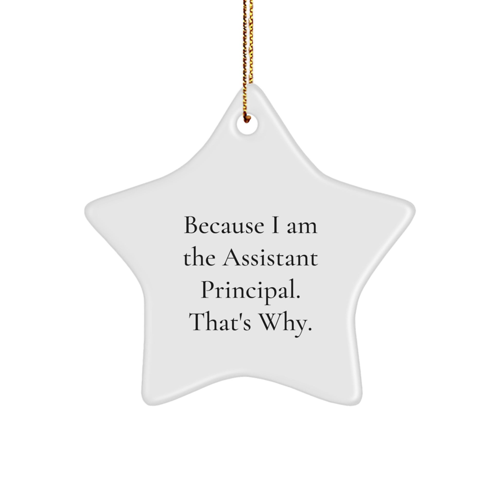 Assistant Principal Funny Star Ornament Gifts from Men to 'Because I Am The Assistant Principal. That's Why.' - Image 1