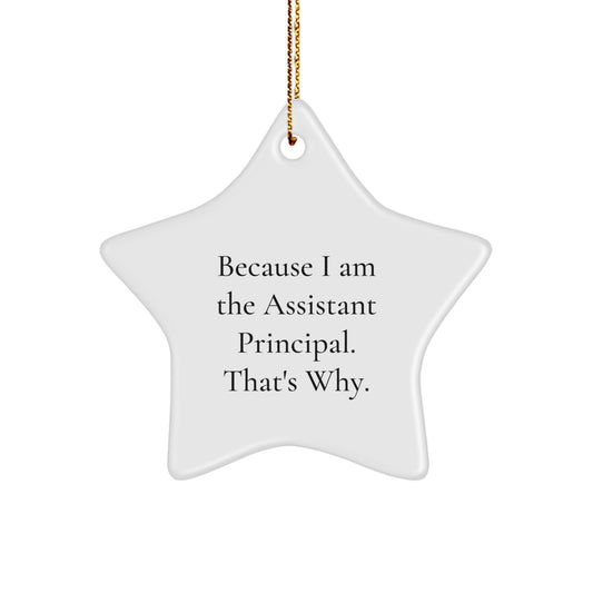 Assistant Principal Funny Star Ornament Gifts from Men to 'Because I Am The Assistant Principal. That's Why.' - Image 1