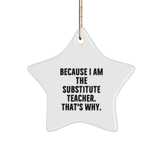 Funny Substitute Teacher Gifts Because I Am The Substitute Teacher. That's Why., Star Ornament, Christmas Unique Gifts from Friends, for Substitute Teachers - Image 1
