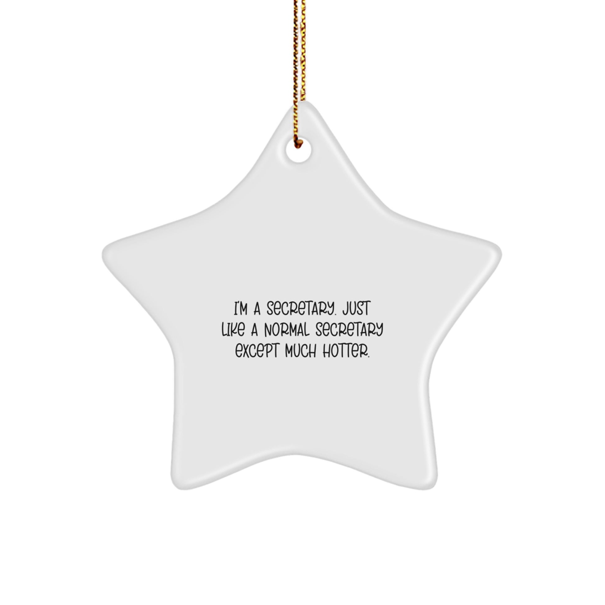 Funny Secretary Star Ornament Gifts from Friends for Office Secretary Christmas - Image 1