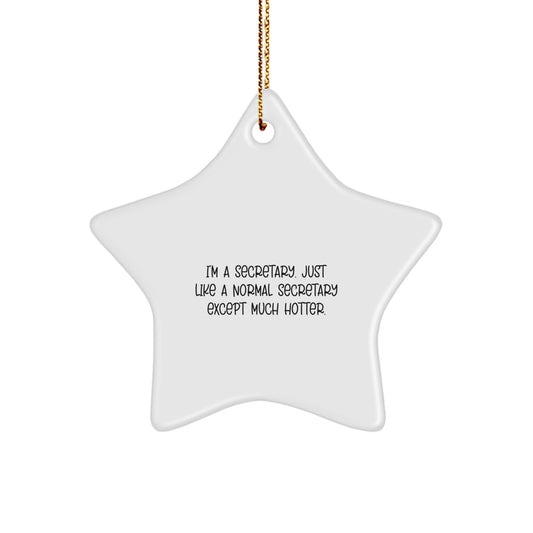 Funny Secretary Star Ornament Gifts from Friends for Office Secretary Christmas - Image 1