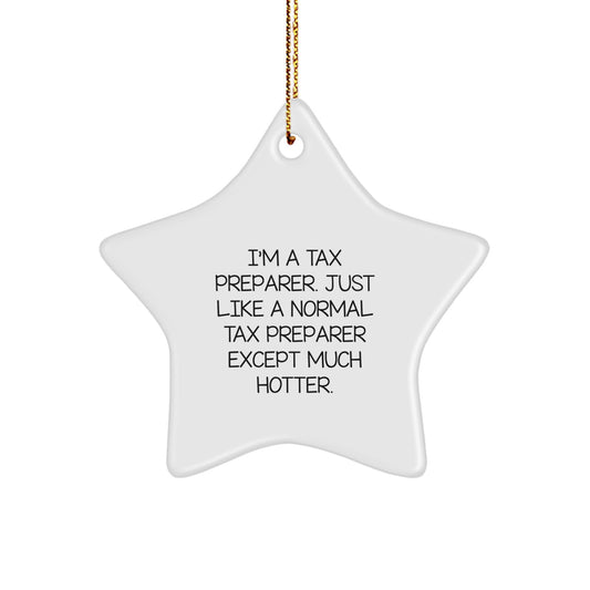 Funny Tax Preparer Star Ornament Gifts from Friends for Tax Preparer Humor Christmas Unique Gifts - Image 1
