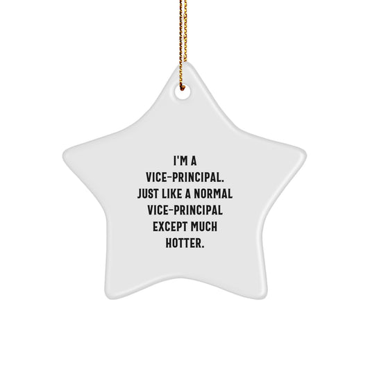 Vice-Principal Keepsake Holiday Christmas Ornament for Him Gift - Image 1