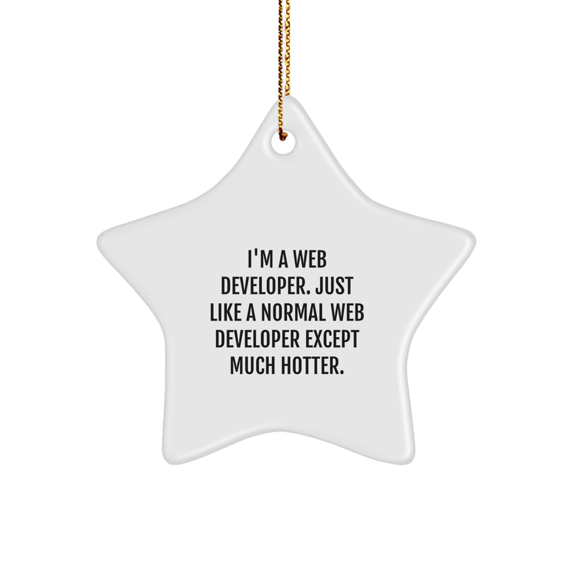 Funny Web Developer Star Ornament Gifts from Friends for Men - I'm A Web Developer, Just Like A Normal One Except Much Hotter Christmas Unique - Image 1