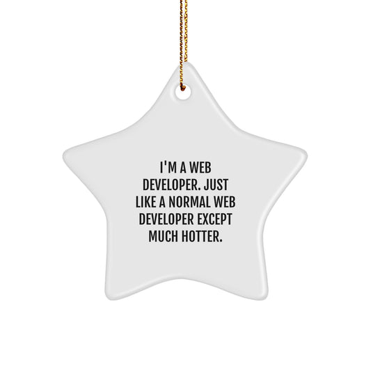 Funny Web Developer Star Ornament Gifts from Friends for Men - I'm A Web Developer, Just Like A Normal One Except Much Hotter Christmas Unique - Image 1