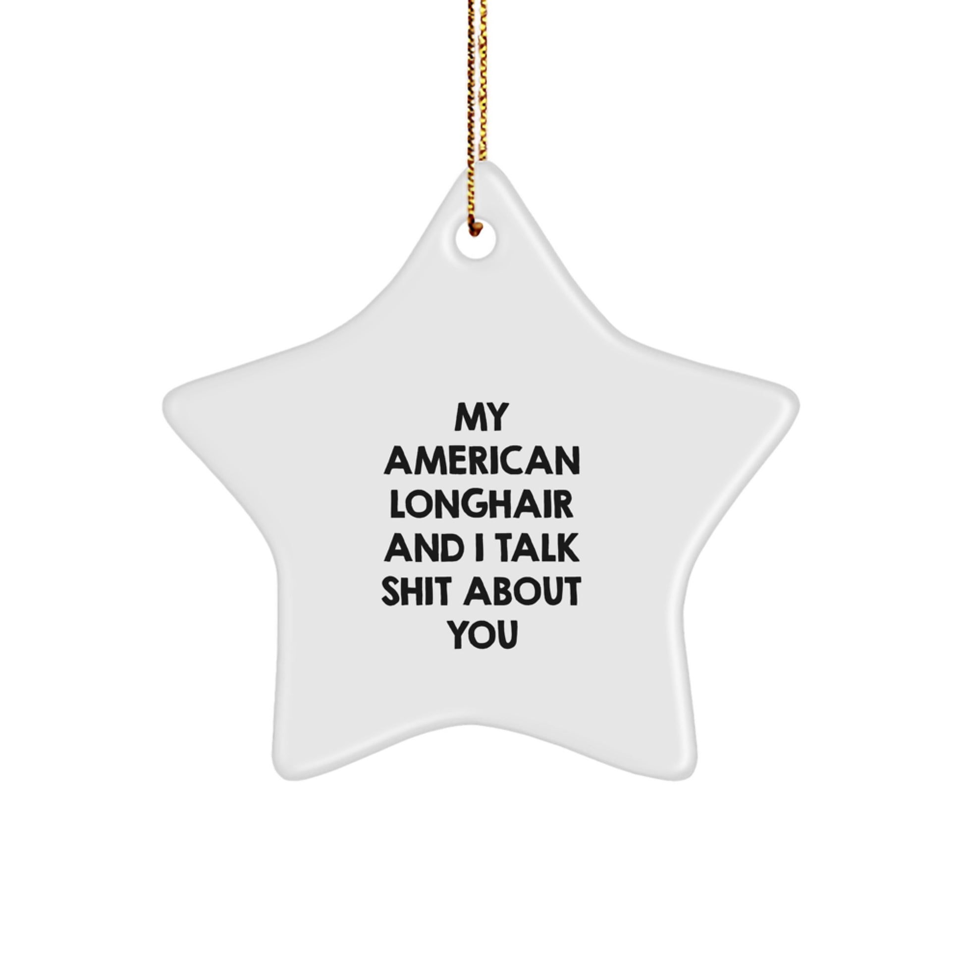 Funny American Longhair Cat Star Ornaments Gifts from Friends for Christmas Unique Star Shaped Ornaments - Image 1