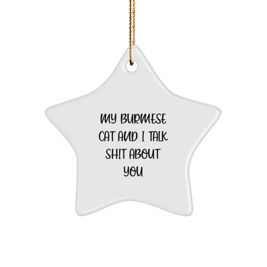 Funny Burmese Cat Gifts from Men, Women, and Friends for Christmas Unique Gifts, Star Ornament, My Burmese Cat And I Talk Shit About You Quote for Burmese Cat Lovers - Image 1