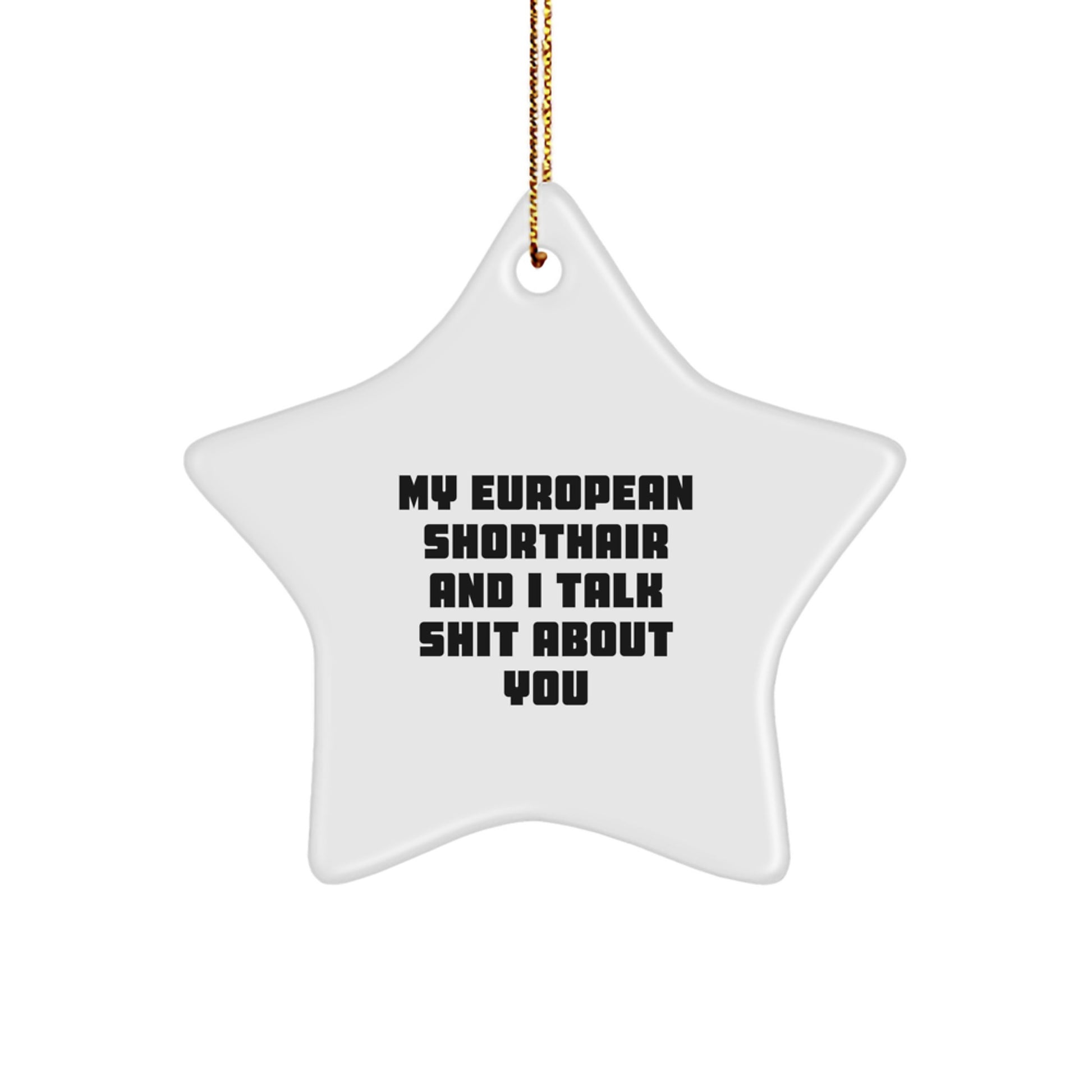 Funny European Shorthair Cat Christmas Unique Gifts, Gifts for European Shorthair Cat Lovers, My European Shorthair And I Talk Shit About You Star Ornament - Image 1