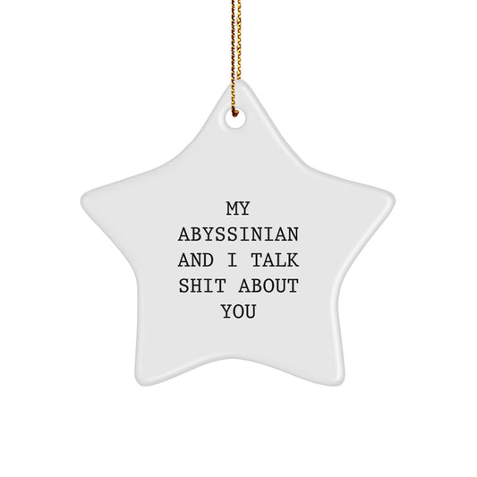 Funny Abyssinian Cat Star Ornaments Gifts from Men for Friends, Unique Christmas Decorations, Cute Cat Lover Gift, Funny My Abyssinian And I Talk Shit About You Quote - Image 1