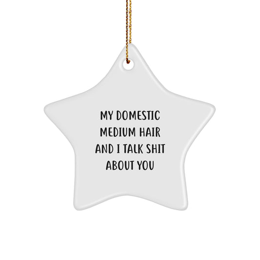 Funny Domestic Medium Hair Gifts from Friends for Christmas Star Ornaments, My Domestic Medium Hair And I Talk Shit About You Star Shaped - Image 1