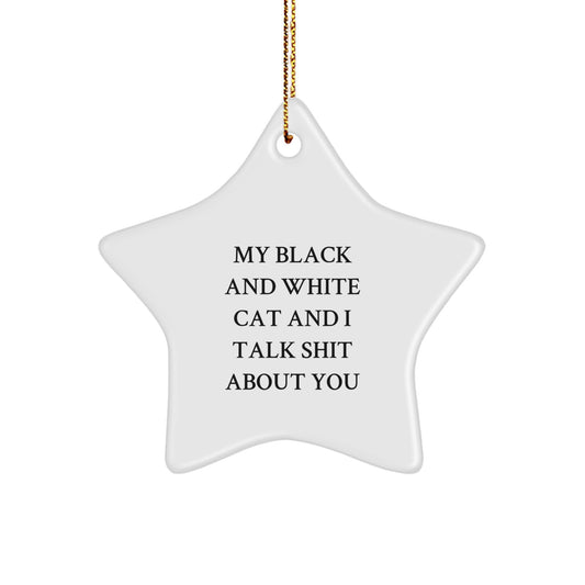 Funny Black and White Cat Star Ornament, Gifts from Friends to Family for Christmas Unique - Image 1