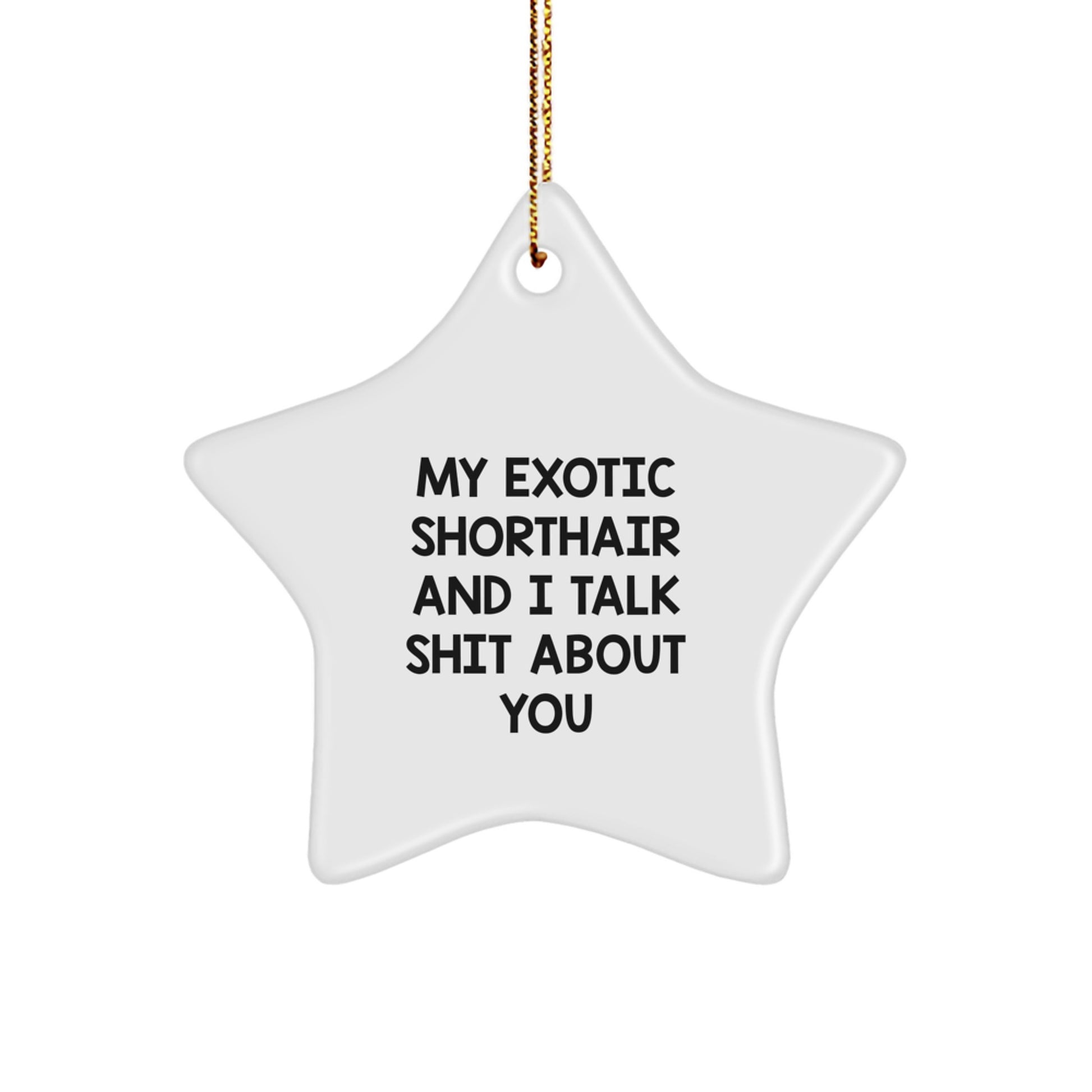 Funny Exotic Shorthair Cat Star Ornament Gifts from Family for Christmas, Unique Funny Star Ornament, My Exotic Shorthair And I Talk Shit About You - Image 1