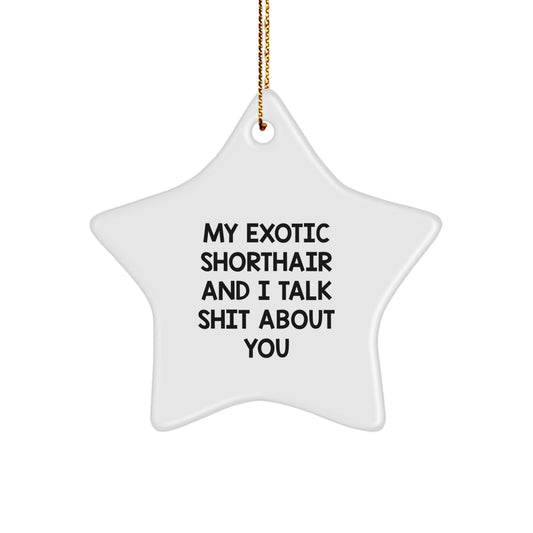 Funny Exotic Shorthair Cat Star Ornament Gifts from Family for Christmas, Unique Funny Star Ornament, My Exotic Shorthair And I Talk Shit About You - Image 1