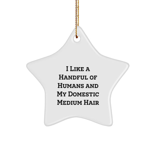 Funny Domestic Medium Hair Cat Christmas Star Ornament Gifts from Friends and Family - Image 1