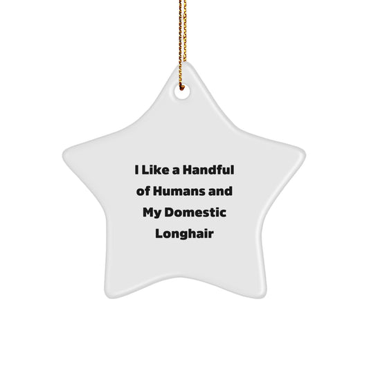 Funny Domestic Longhair Cat Star Ornament Gifts from Men to Friends for Christmas - Image 1